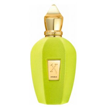 Xerjoff V Collection Парфюмированная вода EDP 100ml (8054320902751)