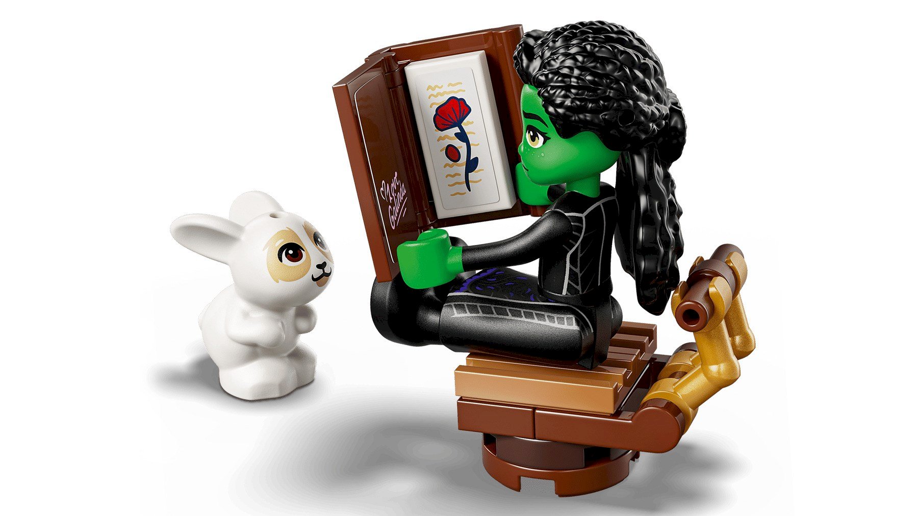 LEGO Wicked 75687 Elphabas patvērums (75687)