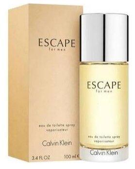 Calvin Klein Escape for Men Парфюм EDT 100 ml (0088300100514)