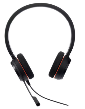 Jabra Evolve 20 Vadu Austiņas USB Type-C / USB Type-A (4999-829-269)