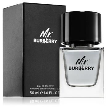 Burberry Mr. Burberry Парфюм EDT 50 ml (3614229840117)