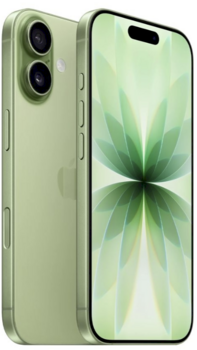 Apple iPhone 17 Смартфон 256GB Sage (MG6N4HX/A)