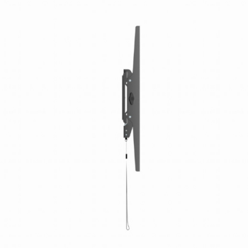 Gembird TV Stiprinājums 37″–75″ (WM-75T-04)