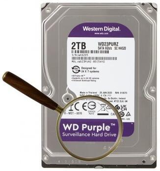 Western Digital Surveillance 3.5
