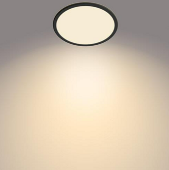 Philips Superslim CL550 Потолочная лампа 22W (929002666801)