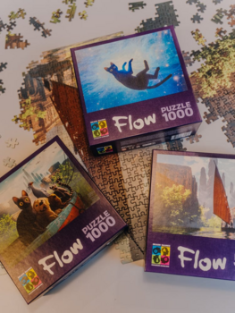 Brain Games FLOW Puzle ar 1000 det. (4751033783021)