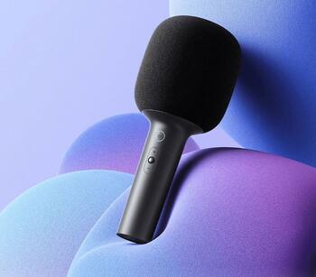 Xiaomi BHR6752GL Караоке-микрофон (BHR6752GL)
