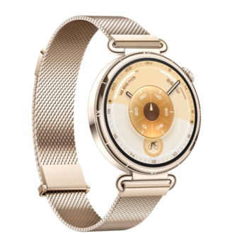Huawei Watch GT6 Умные часы 41mm Gold (55020FTP)