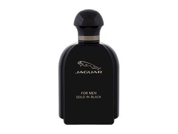 Jaguar Туалетная вода для мужчин EDT 100ml (7640171190792)