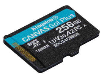 Kingston Canvas Go Plus MicroSDXC Карта памяти 256GB (SDCG4/256GBSP)