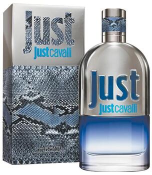 Roberto Cavalli Just Cavalli Him 2013 Парфюм EDT 90 ml (3607346236581)