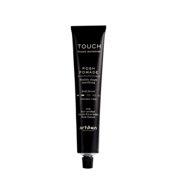 Artègo Touch Posh Pomade Flexible Shape Mattifying Помада для укладки 100 ml (8032605278067)