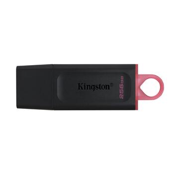 Kingston 256GB USB 3.2 Gen1 DataTraveler флешка (DTX/256GB)