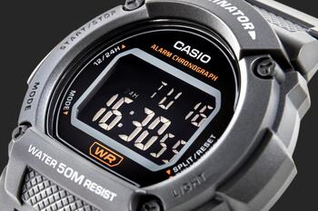 Casio W-219H-8BVEF Наручные часы (W-219H-8BVEF)