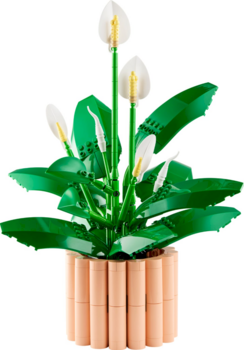 LEGO Botanicals 11504 Peace Lily Konstruktors (11504)