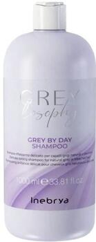 Inebrya GREYlosophy Shampoo Шампунь 1000ml (8008277264783)