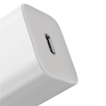 Baseus CCSP020102 Super Si 1C Ceļojuma Lādētājs 25W (CCSP020102)