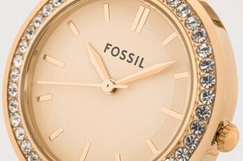 Fossil BQ3181 Sieviešu pulkstenis (BQ3181)