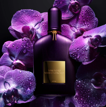 Tom Ford Velvet Orchid Парфюм EDP 50 ml (0888066023948)