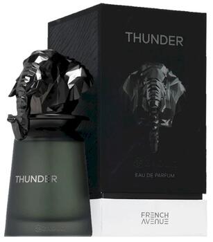 French Avenue Thunder Smaržas EDP 100 ml (6290360379517)