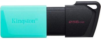 Kingston DataTraveller Exodia M 256GB Флэш-память (DTXM/256GB)