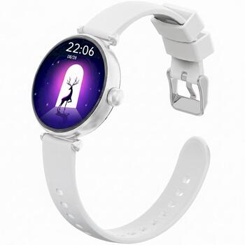 Smartwatch Gravity Смарт-часы с 2 ремешками GT26-8 / серебристый-белый (GT26-8)