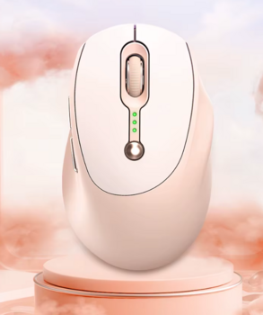 RoGer Q7 Беспроводная Перезаряжаемая мышь DPI 1600 / Type-C (ROQ7-PN)