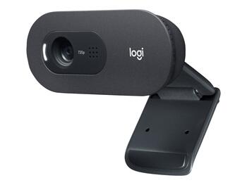 Logitech C505e HD Biznesa Tīmekļā kamera (960-0013724)