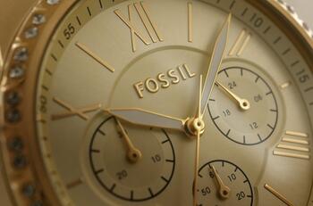 Fossil BQ3378 Женские часы (BQ3378)