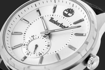 Timberland TDWGA0029704 Мужские часы (TDWGA0029704)