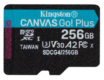 Kingston Canvas Go Plus MicroSDXC Карта памяти 256GB (SDCG4/256GBSP)