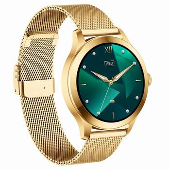 Smartwatch Gravity Смарт-часы / бело-золотой (GT25-2 PRO)