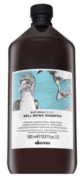 Davines Natural Tech Well-Being Шампунь 1000 ml (8004608256632)