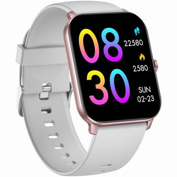 Smartwatch Gravity GT36-5 Смарт-часы / розовое золото-серый (GT36-2)