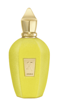 Xerjoff Amabile Парфюм EDP 100ml Tester (8054320900023)