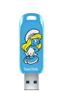 SanDisk SDCZIS-256G-G46 Флеш-накопитель 256GB (SDCZIS-256G-G46)