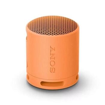 Sony SRS-XB100 Bluetooth Портативная колонка (SRSXB100D.CE7)