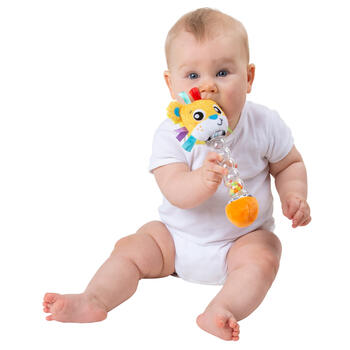 PLAYGRO grabulis Safari Shaker Rain, 188797