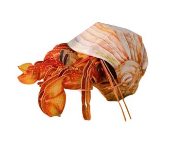 MAKEBUG 3D papīra puzle Eremītkrabis, MB-B-0008