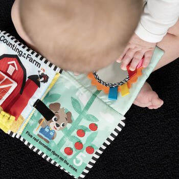 BABY EINSTEIN mīkstā aktivitāšu grāmatiņa, 17303