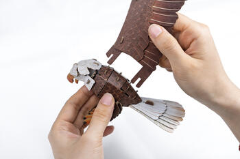 MAKEBUG 3D papīra puzle Baltgalvas ērglis, MB-D-0057