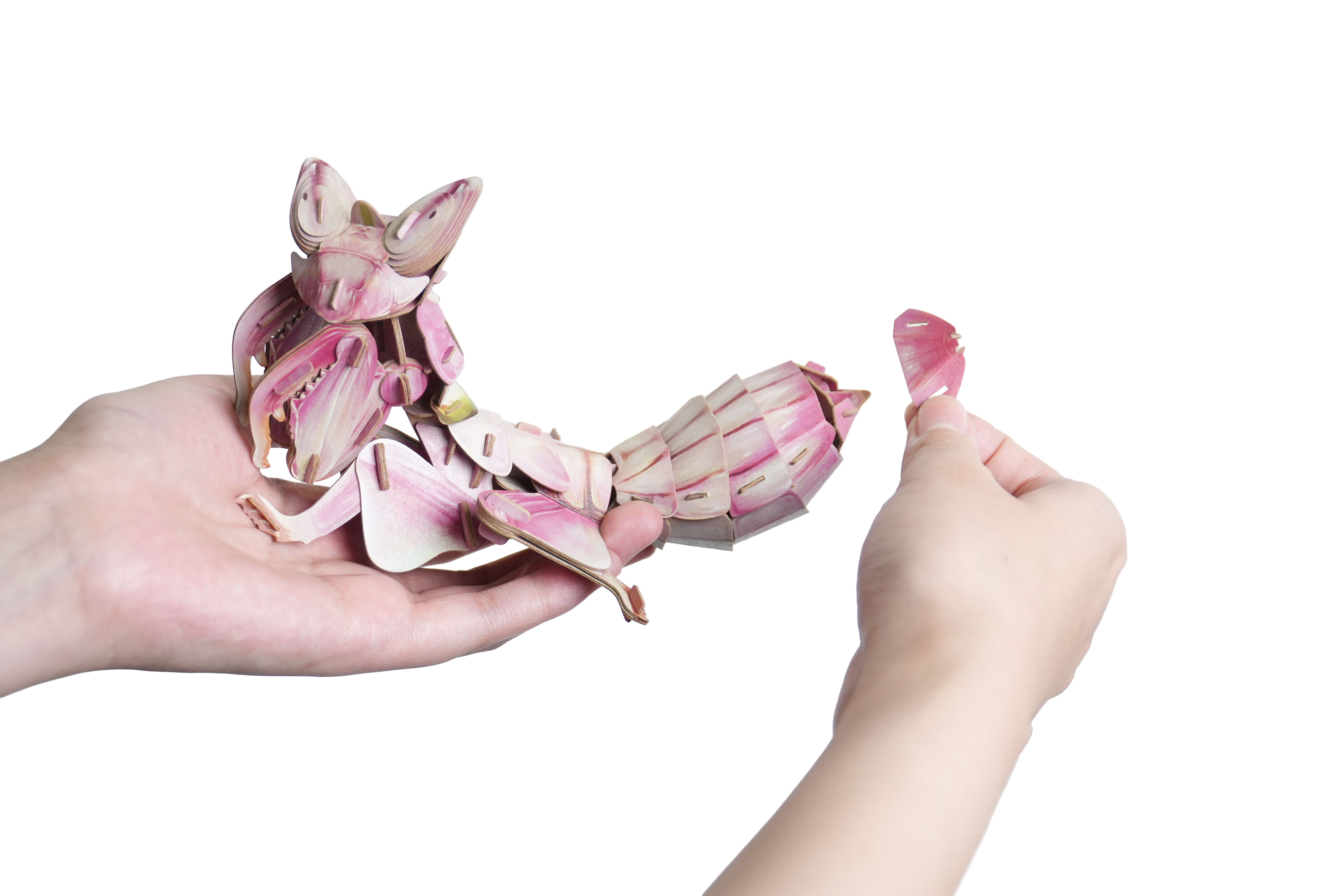 MAKEBUG 3D papīra puzle Orchid Mantis, MB-D-0052