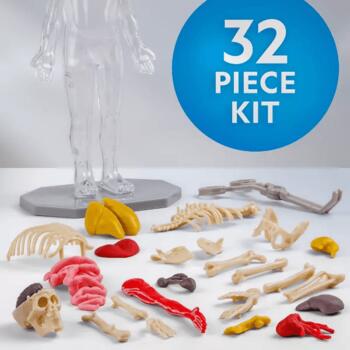 NATIONAL GEOGRAPHIC komplekts Glow in the Dark Human Body, RTHUMBODY