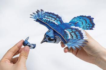 MAKEBUG 3D papīra puzle Amerikas ūpis, MB-D-0056