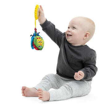 BABY EINSTEIN piekarināma rotaļlieta Touch Of Nature Sensory Toy, 16886