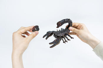 MAKEBUG 3D papīra puzle Meža skorpions, MB-D-0053