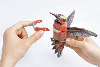 MAKEBUG 3D papīra puzle Kolibri, MB-D-0058