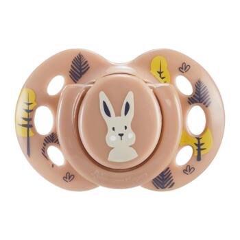 TOMMEE TIPPEE māneklītis silikona FUN 18-36 m., 2 gab., 433657