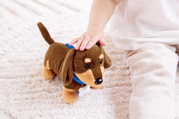 HAPE mājdzīvnieku veterinārās aprūpes komplekts, E3229A