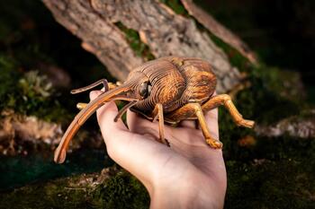 MAKEBUG 3D papīra puzle Degunradžvabole, MB-B-0004